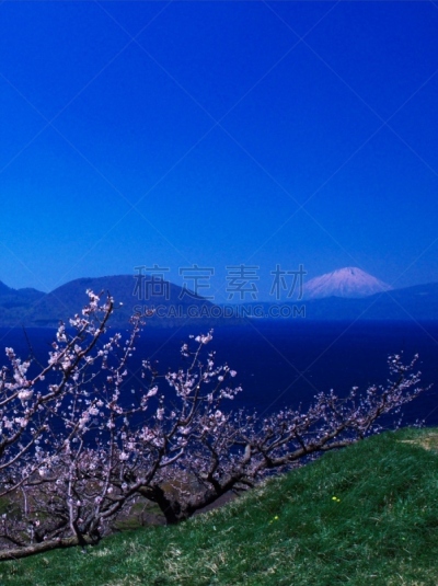 洞爷湖,北海道,非凡的,富士山,风景,欲望,有珠山,羊蹄山,梅子,梅花