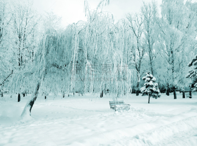 长椅,公园,冬天,无人,地形,雪,大风雪,公园长椅,深的,脚印
