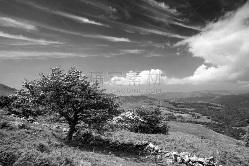 田地,地形,黑白图片,威尔士伊德里斯山,看风景,在上面,白昼,晴朗,北,移向