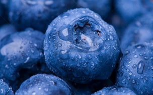 特写,蓝莓,湿,水果,蔬菜,清新,水滴,蓝色,无人,采摘