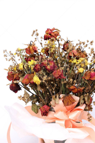 玫瑰,花束,死亡的植物,干的,水香花菜,花冠,枯萎的,垂直画幅,美,褐色