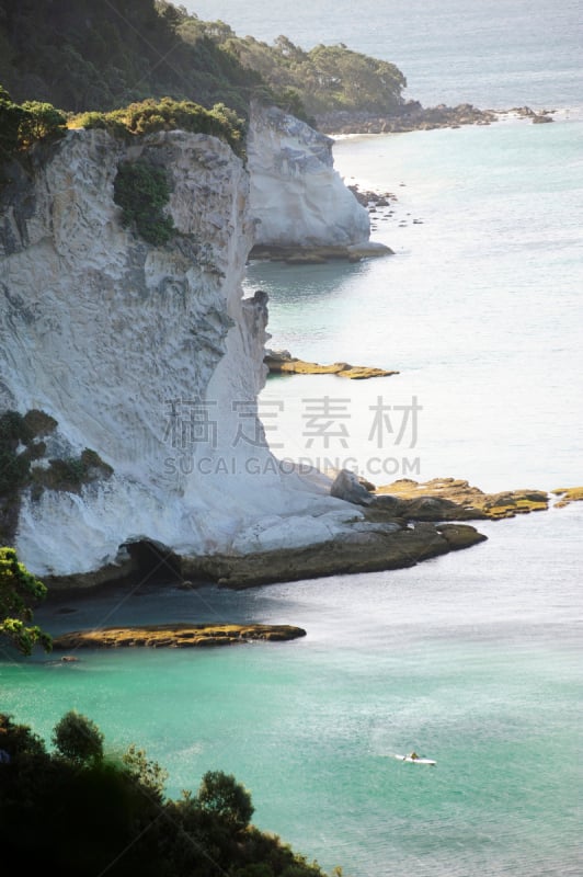 科罗曼德尔半岛,新西兰,cathedral cove,垂直画幅,悬崖,南半球,枝繁叶茂,无人,夏天,新西兰北岛