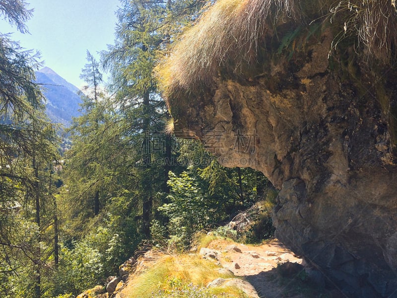 阿尔卑斯山脉,小路,徒步旅行,夏天,树林,水平画幅,奥斯塔山谷,无人,户外,瑞士阿尔卑斯山