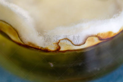 实验室,真菌,烧瓶,显微镜,生物科技,水平画幅,孢子,微生物学,科学实验,科学