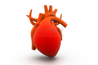 人类心脏,三维图形,主动脉,冠状动脉,维管束,水平画幅,绘画插图,人,科学,健康保健