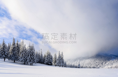 雪,冬天,杉树,背景,阴影,白昼,霜,自然美,板球,进行中