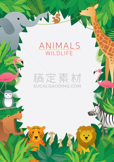 边框,野外动物,热带雨林,卡通,松鼠,可爱的,斑马,热带气候,野生动物,泰国