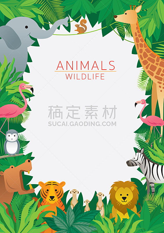 边框,野外动物,热带雨林,卡通,松鼠,可爱的,斑马,热带气候,野生动物,泰国