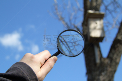平衡折角灯,运气,小鸟笼,豪宅,共生关系,户外,天空,木制,房地产,公寓