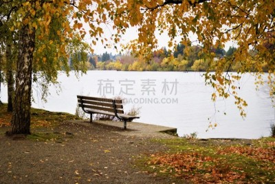 翠绿公园,自然,公园,美国,非都市风光,水平画幅,秋天,西雅图,无人,户外