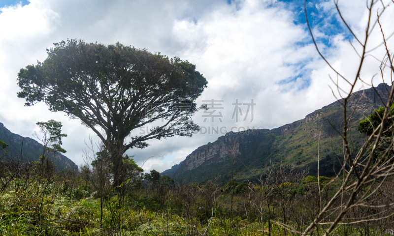 加帕达戴曼蒂纳国家公园,巴伊亚州,巴西,山谷,徒步旅行,水,天空,水平画幅,无人,鸟类