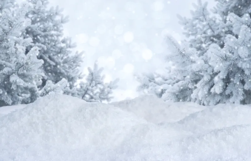 吹雪 吹雪图片 吹雪素材下载 稿定素材