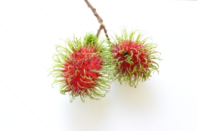 红毛丹,自然,水平画幅,水果,无人,有机食品,生食,特写,泰国,红色