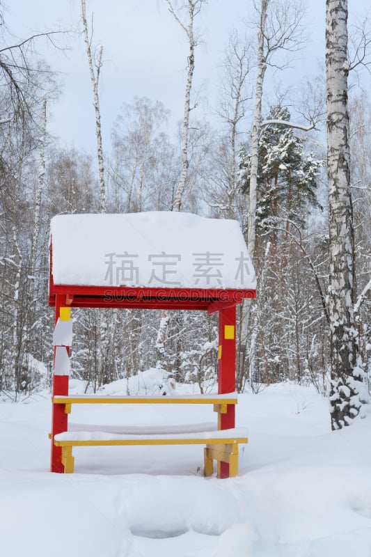 冬天,森林,藤架,垂直画幅,雪,无人,凉棚,动物腿骨,口络