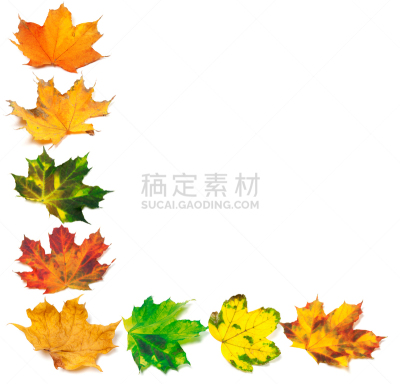 英文字母l,叶子,秋天,枫树,字母,褐色,水平画幅,干花,符号,组物体