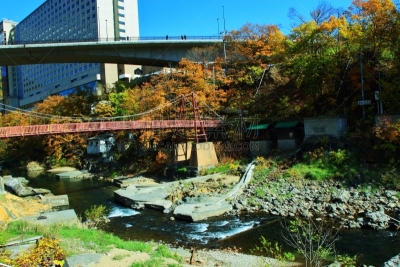 秋天,温泉,札幌,北海道,风景,黄色,红色,图像,叶子,足浴