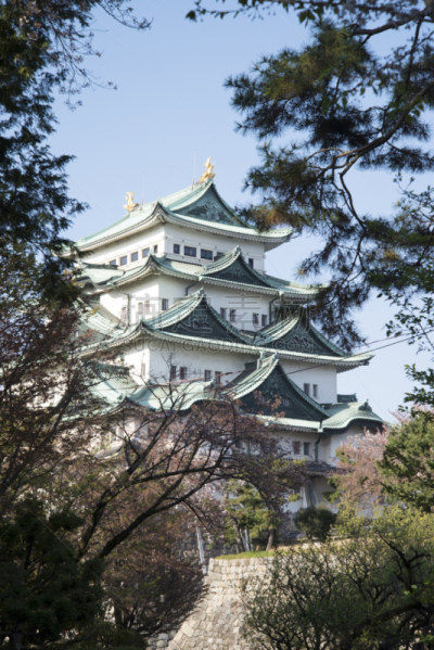名古屋城,名古屋,日本武士,江户时代,垂直画幅,外立面,高视角,无人,夏天,户外