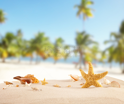 沙子,贝壳,海滩,水,天空,休闲活动,水平画幅,无人,夏天,户外