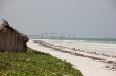 海滩,印度洋,非洲,桑吉巴尔,吉汶瓦海滩,东非部落,椰子树,沙子,旅行者,退潮