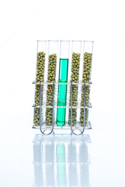 转基因,绿豆,植物细胞,标本架,试管,垂直画幅,科学实验,生物化学,实验室,想法