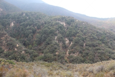 巨熊湖,雾,山,热,圣伯那丁诺,风,灵感,环境,云,环境保护