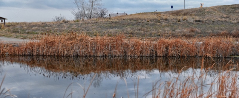 Views of Josh’s Pond walking path, Reflecting Sunset in Broomfield Colorado surrounded by Cattails, plains and Rocky mountain landscape during sunset. United States.