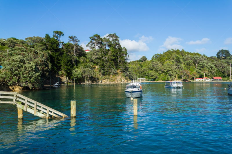 奥克兰,新西兰,码头,leigh harbour,小的,水,天空,公园,新的,水平画幅