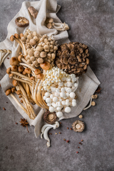 蘑菇,黑木耳,舞茸蘑菇,香菇,食用菌,鸡油菌,垂直画幅,褐色,高视角,素食