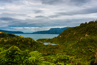 lake tarawera,罗托鲁阿,草,自然美,海岸线,河流,岩石,水湾,夏天,户外