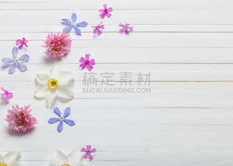 背景 白色 木制 春天 水仙花 五月 边框 复古风格 婚礼 花图片素材下载 稿定素材 背景 白色 木制 春天 水仙花 五月 边框 复古风格 婚礼 花图片素材下载 稿定素材