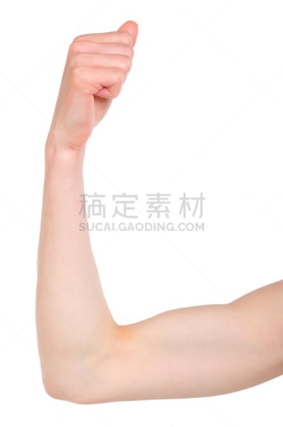 肱二头肌,女人,白色背景,苗条,垂直画幅,四肢,人类肌肉,白人,特写,培训课