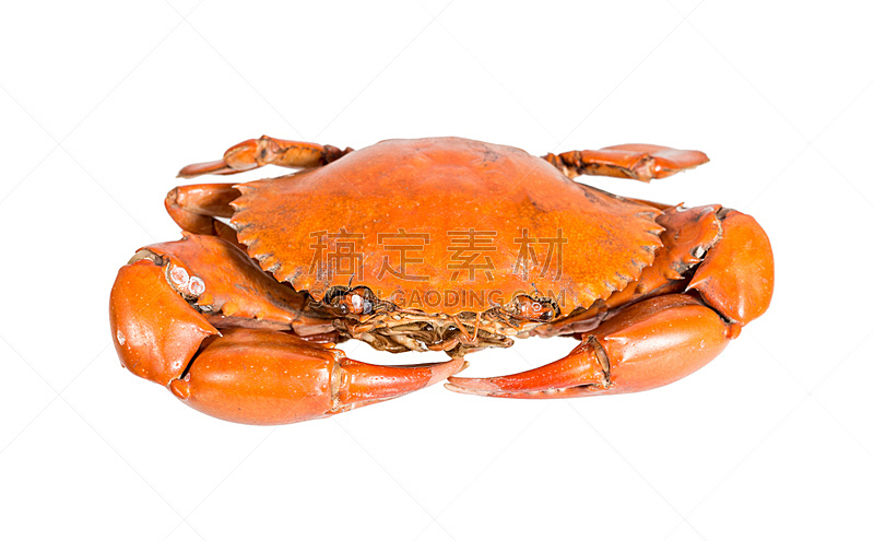 小溪,螃蟹,水平画幅,2015年,晚餐,膳食,清新,特写,美味,食品