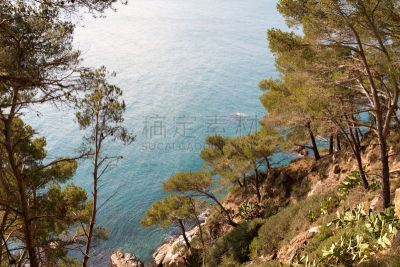 海岸线,西班牙,勇气,赫罗纳,陡峭海岸,埃斯塔蒂特,港口的热带雨林,帕拉弗鲁赫尔,卡达开斯,特萨德玛