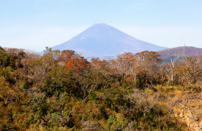 箱根园,富士山,日本,风景,箱根湿地植物园,富士箱根伊豆国立公园,天空,水平画幅,无人,火山地形