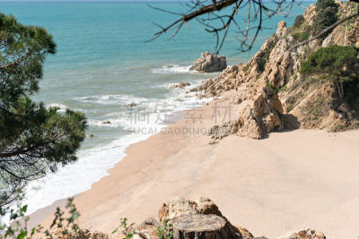 西班牙,海岸线,勇气,赫罗纳,陡峭海岸,斯卡拉剧院,港口的热带雨林,埃斯塔蒂特,帕拉弗鲁赫尔,特萨德玛