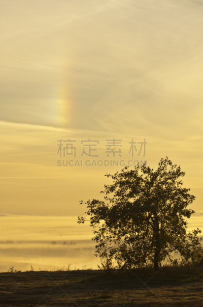 秋天,垂直画幅,天空,枝繁叶茂,九月,图像,温带臭虫,俄罗斯,球体