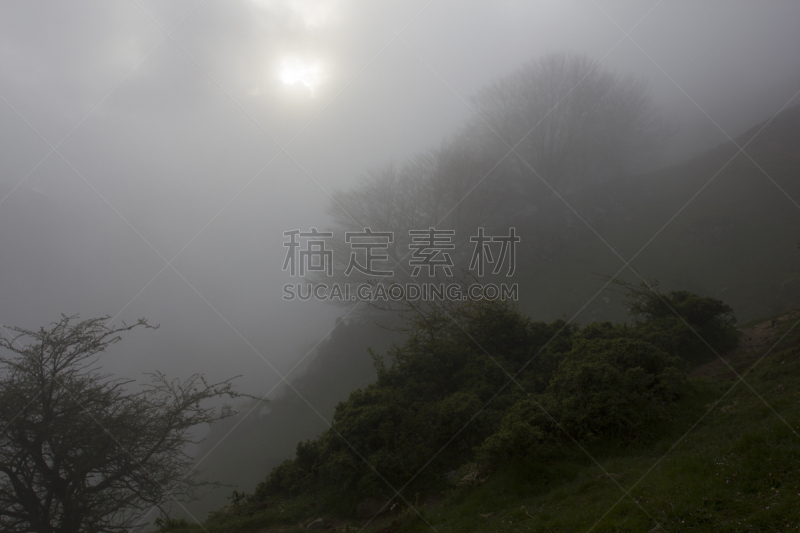 森林,山,雾,普拉多林荫道,地球女神,宁静,水平画幅,岩石,秋天,无人