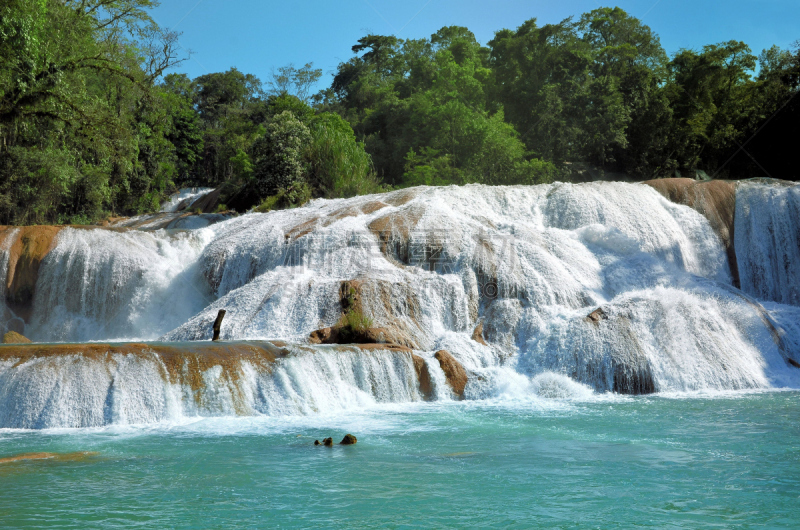 恰帕斯州,agua azul cascades,墨西哥,帕伦克,水道,自然,水平画幅,枝繁叶茂,瀑布,无人