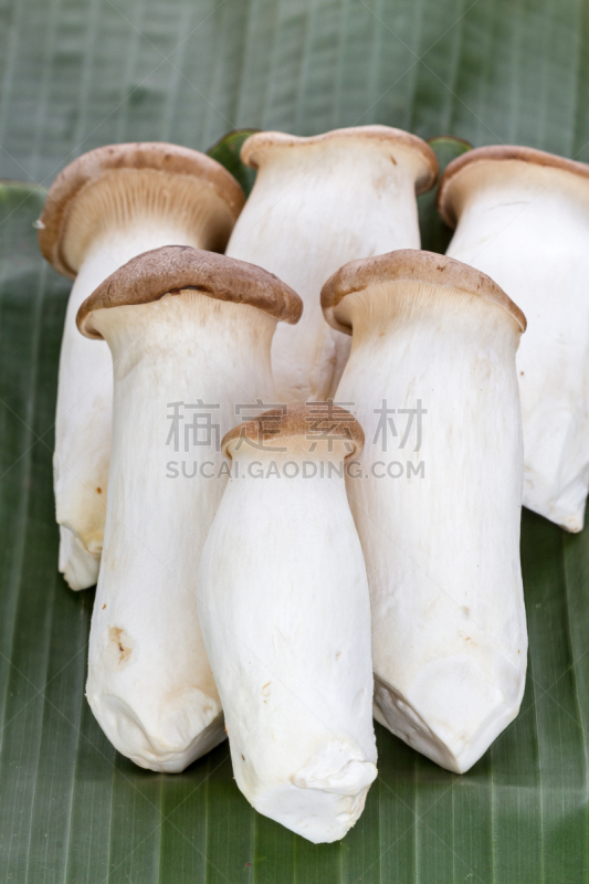 蘑菇,香蕉叶,杏鲍菇,垂直画幅,褐色,蚝蘑,鲍鱼,素食,生食,白色