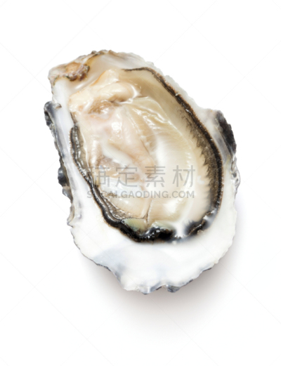 一个物体,牡蛎,分离着色,清新,背景分离,华贵,食品,贝壳,全身像,影棚拍摄