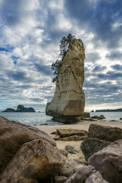 cathedral cove,岩石,沙岩,科罗曼德尔半岛,新西兰,尖峰,一只动物,垂直画幅,水,天空