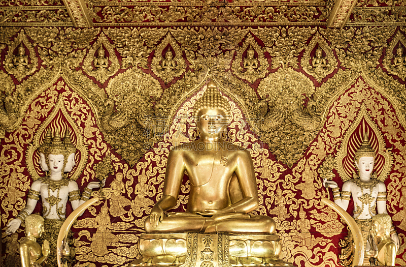 清迈省,僧院,泰国,雕像,金佛寺,布帕拉姆寺,伯阿迪西亚像,清迈城,佛,盘着腿坐