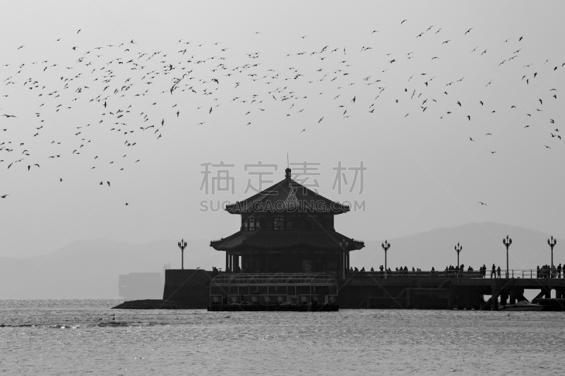 海鸥,水平画幅,沙子,夜晚,海港,青岛,旅行者,滨水,都市风景,啤酒