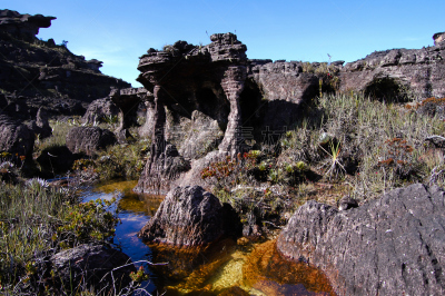 罗赖马山,委内瑞拉,平顶山,canaima,自然,高原,悬崖,桌子,水平画幅,山