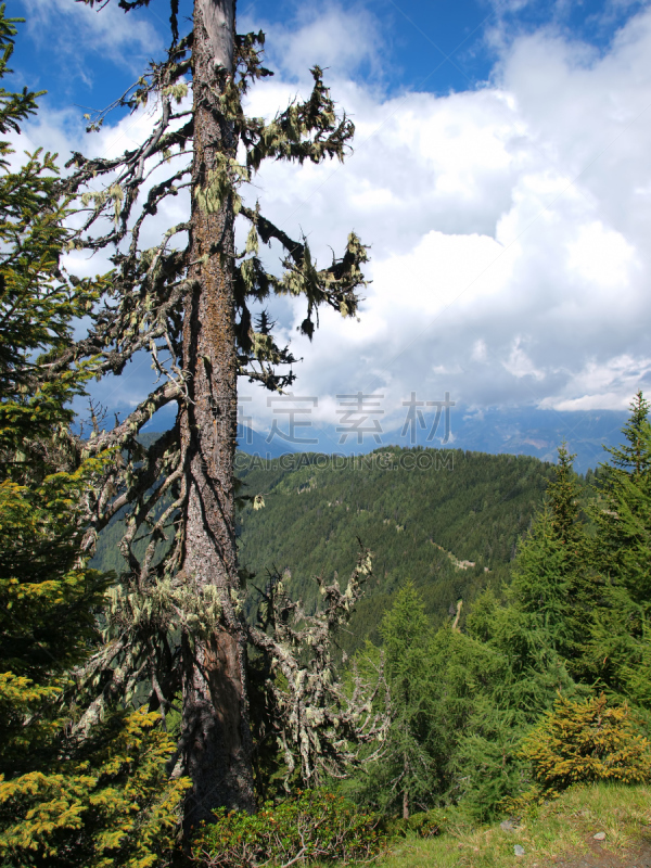 阿尔卑斯山脉,风景,karavanke range,卡林斯亚,julian alps,垂直画幅,国家公园,无人,夏天,云景