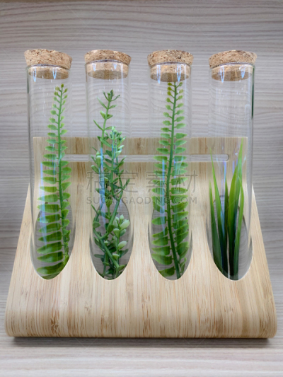 植物,微生物,小的,装管,概念,标本架,生物学,农业,传媒,科学实验
