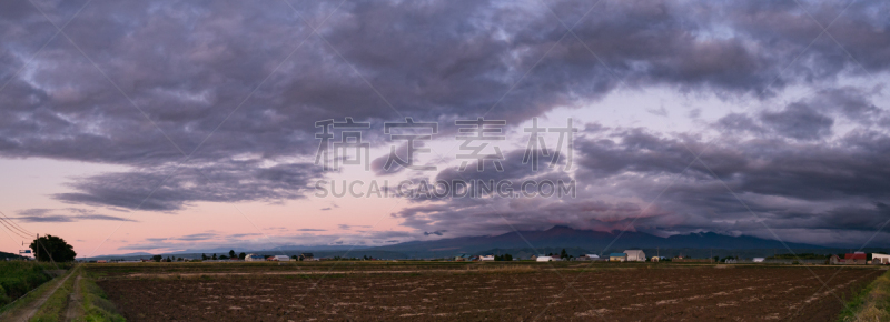 日本,田地,北海道,富良野,自然美,开着的,旅途,自然界的状态,富良野市,曙暮光