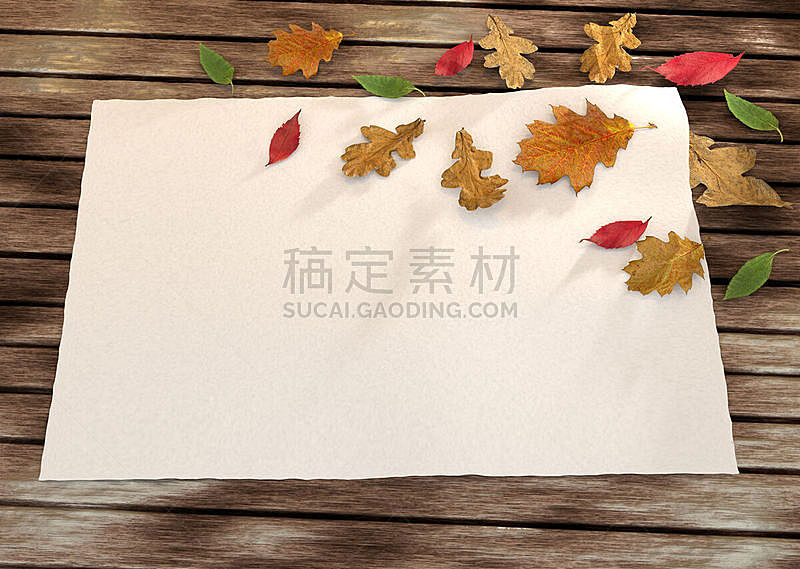 叶子,木制,秋天,背景,贺卡,褐色,水平画幅,无人,绘画插图,符号