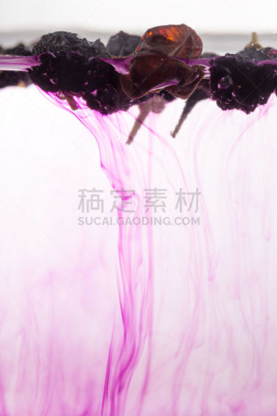 食品,浆果,黑色,概念,垂直画幅,水,酸