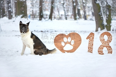 新年前夕,2018,贺卡,公园,新的,水平画幅,雪,传统,符号